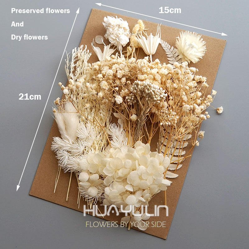 1 Pack Artificial Plants Dried - đánh giá và giá Candle Making Diy